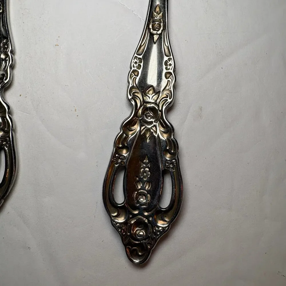 Set 2 Oneida RAPHAEL Stainless Distinction Deluxe Glossy Serving Spoons